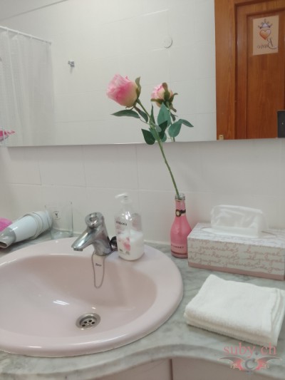 Baño de invitados, lavabo; completamente equipado.