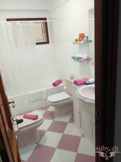 Baño de invitados con ducha, inodoro y bidé.