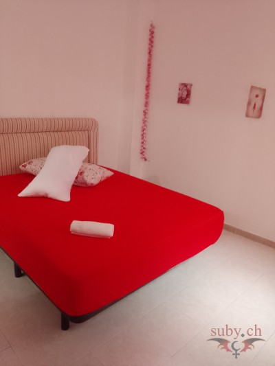 Habitación de huéspedes para sexo con cama tamaño queen.