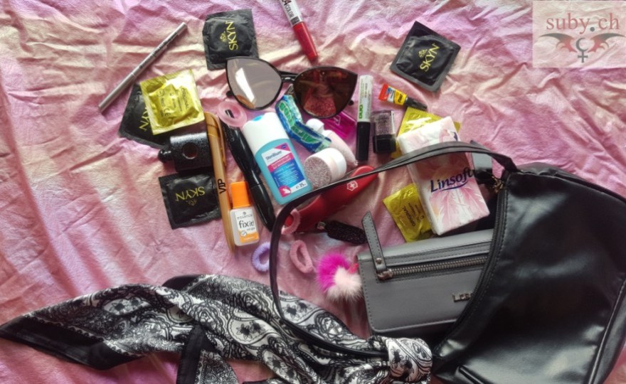 Elcontenido de mi bolso.